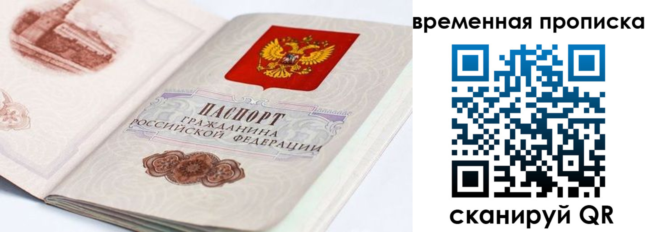 прописка 2025 в Краснодаре